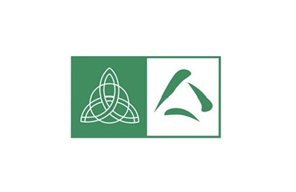 Irish Chamber Logo (no words)