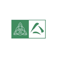 Irish Chamber Logo (no words)